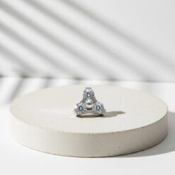 Alternative view of Trinity de titanio y zirconias