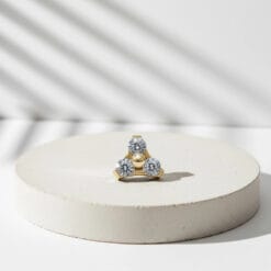 Alternative view of Trinity de titanio y baño de oro con zirconias